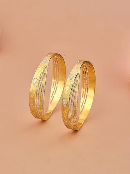 2 Pcs Bangles