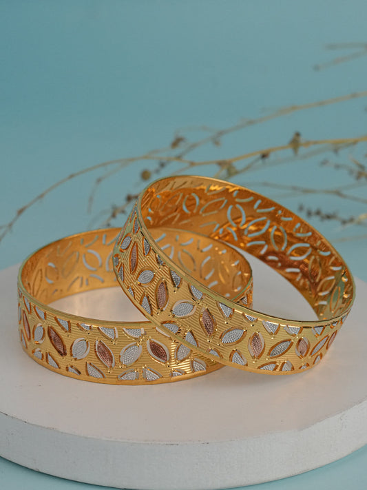 2 Pcs bangles