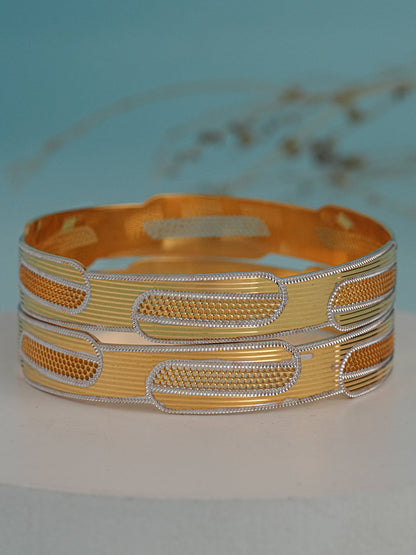 2 pcs Bangles