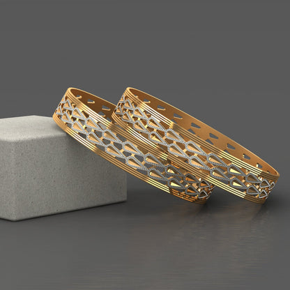 2 Pcs Bangles