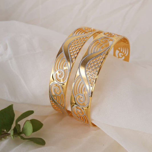 2 Pcs Bangles
