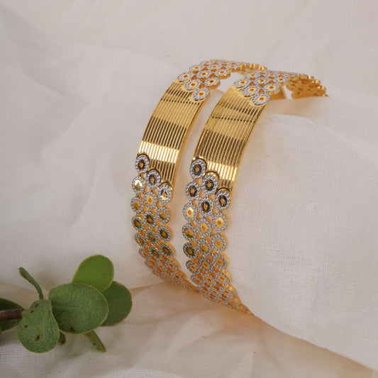 2 Pcs Bangles