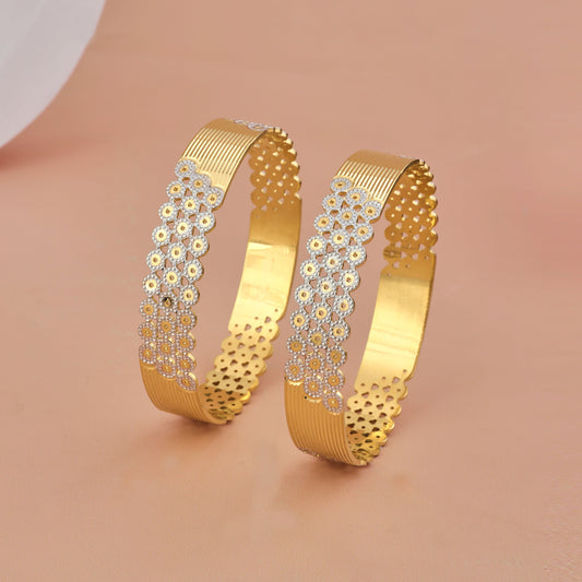 2 Pcs Bangles